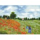 Poppy Fields - Monet